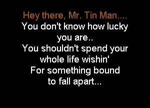 Hey there, Mr. Tin Man....
You don't know how lucky
you are..

You shouldn't spend your

whole life wishin'
For something bound
to fall apart...