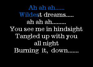 Ah ah ah ......
Wildest dreaIns .....
ah ah ah .........

You see me in hindsight
Tangled up with you
all night
Burning it, down .......