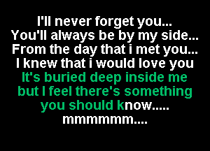 I'll never forget you...
You'll always be by my side...
From the day that i met you...

I knew that i would love you
It's buried deep inside me
but I feel there's something
you should know .....
mmmmmmm