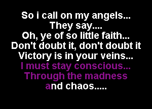 So i call on my angels...
They say....

Oh, ye of so little faith...
Don't doubt it, don't doubt it
Victory is in your veins...

I must stay conscious...
Through the madness
and chaos .....