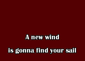 A new wind

is gonna find your sail