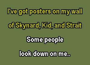 I've got posters on my wall

of Skynard, Kid, and Strait
Some people

look down on me..