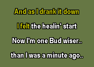 And as I drank it down
I felt the healin' start

Now I'm one Bud wiser..

than I was a minute ago..