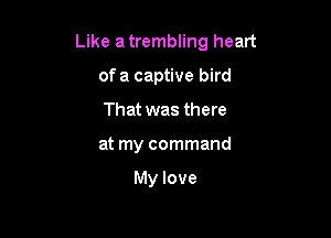 Like a trembling heart

of a captive bird
That was there
at my command

My love