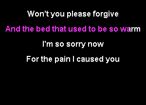 Won't you please forgive
And the bed that used to be so warm

I'm so sorry now

For the pain I caused you