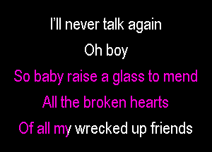 l ll never talk again
Oh boy

So baby raise a glass to mend
All the broken hearts
Of all my wrecked up friends