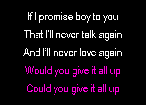 lfl promise boy to you
That llll never talk again

And Ill never love again

Would you give it all up
Could you give it all up