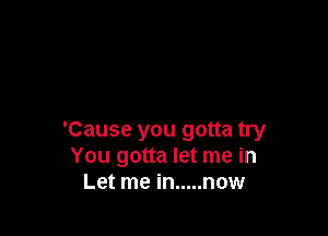 'Cause you gotta try
You gotta let me in
Let me in ..... now