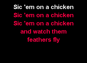 Sic 'em on a chicken
Sic 'em on a chicken
Sic 'em on a chicken

and watch them
feathers fly