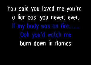 You said you loved me you're
a liar cos you never, ever,
If my body was on fire .......

Ooh you'd watch me
burn down in flames