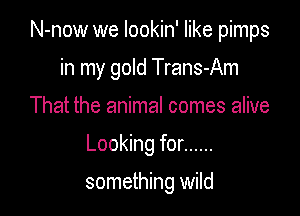 N-now we lookin' like pimps

in my gold Trans-Am
That the animal comes alive
Looking for ......

something wild