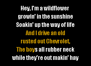 HeuJ'm awildflower
growin' in the sunshine
Soakin' up the way of life
And I drive an old
rusted outclleurolet.
The Imus all rubber neck
while they're out makin' hay