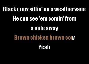 Black crow Sittill' on a weatheruane
8 can 888 'em comin' from
a mile away
Brown chicken brown 001!!!
Yeah
