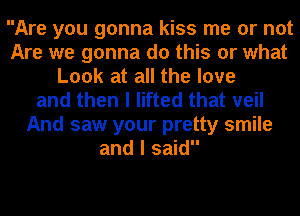 Are you gonna kiss me or not
Are we gonna do this or what
Look at all the love
and then I lifted that veil
And saw your pretty smile
and I said