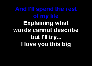 And I'll spend the rest
of my life
Explaining what
words cannot describe

but I'll try...
I love you this big