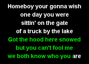 Homeboy your gonna wish
one day you were
sittin' on the gate

of a truck by the lake
Got the hood here snowed

but you can't fool me
we both know who you are