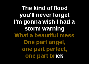 The kind of flood
you'll never forget
I'm gonna wish I had a
storm warning
What a beautiful mess
One part angel,
one part perfect,

one part brick l