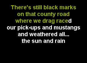 There's still black marks
on that county road
where we drag raced
our pick-ups and mustangs
and weathered all...
the sun and rain