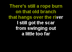 There's still a rope burn
on that old branch
that hangs over the river
I still got the scar

from swinging out
a little too far