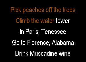 Pick peaches off the trees

Climb the water tower
In Paris, Tenessee
Go to Florence, Alabama

Drink Muscadine wine