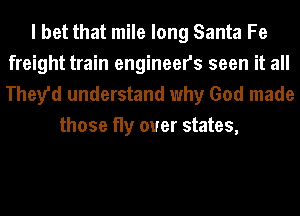 I bet that mile long Santa Fe
freight train engineers seen it all

They'd understand why God made
those fly over states,
