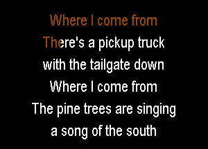 Where I come from
There's a pickup truck
with the tailgate down

Where I come from
The pine trees are singing
a song of the south