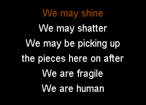 We may shine
We may shatter
We may be picking up

the pieces here on after
We are fragile
We are human
