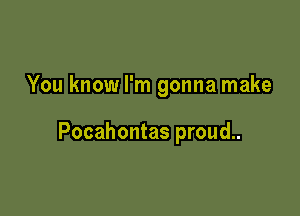 You know I'm gonna make

Pocahontas proud..