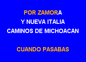 POR ZAMORA
Y NUEVA ITALIA
CAMINOS DE MICHOACAN

CUANDO PASABAS