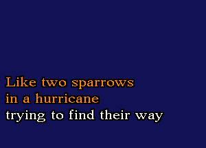 Like two sparrows
in a hurricane
trying to find their way