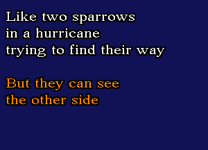 Like two Sparrows
in a hurricane
trying to find their way

But they can see
the other side