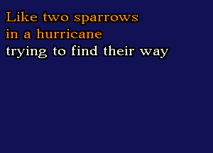 Like two Sparrows
in a hurricane
trying to find their way