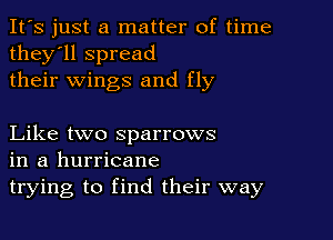 It's just a matter of time
they'll spread
their wings and fly

Like two sparrows
in a hurricane
trying to find their way