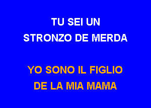 TU SEI UN
STRONZO DE MERDA

YO SONO IL FIGLIO
DE LA MIA MAMA