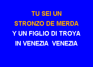 TU SEI UN
STRONZO DE MERDA
Y UN FIGLIO DI TROYA
IN VENEZIA VENEZIA

g