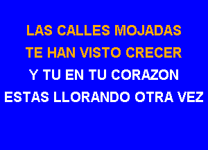 LAS CALLES MOJADAS

TE HAN VISTO CRECER

Y TU EN TU CORAZON
ESTAS LLORANDO OTRA VEZ