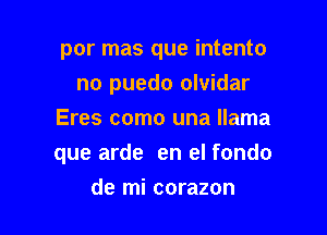 por mas que intento
no puedo olvidar

Eres como una llama
que arde en el fondo
de mi corazon