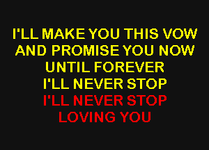 I'LL MAKEYOU THIS VOW
AND PROMISEYOU NOW
UNTIL FOREVER
I'LL NEVER STOP