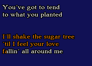 You've got to tend
to what you planted

I11 shake the sugar tree
til I feel your love
fallin' all around me