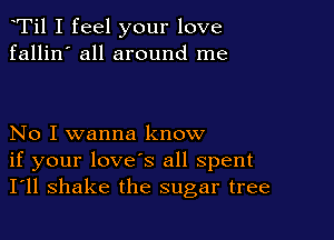 Ti1 I feel your love
fallin' all around me

No I wanna know
if your love's all spent
I'll shake the sugar tree