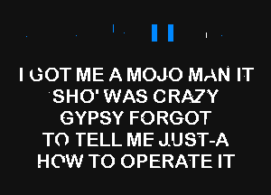 I GOT ME A MOJO MAN IT
'SHO' WAS CRAZY
GYPSY FORGOT
TO TELL ME J.UST-A
HOW TO OPERATE IT