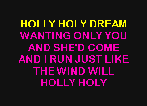 HOLLY HOLY DREAM
