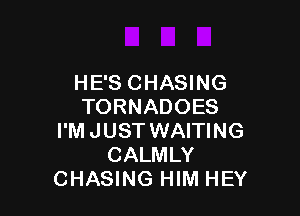 HE'S CHASING
TORNADOES

I'M JUST WAITING
CALMLY
CHASING HIM HEY