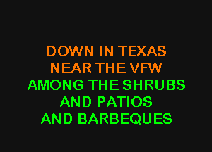 DOWN IN TEXAS
NEAR THE VFW
AMONGTHESHRUBS
ANDPAWOS

AND BARBEQUES l