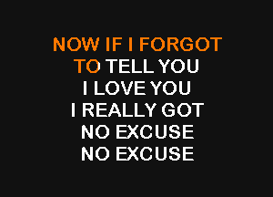NOW IF I FORGOT
TO TELL YOU
I LOVE YOU

I REALLY GOT
NO EXCUSE
NO EXCUSE