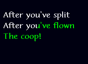 After you've split
After you've flown

The coop!