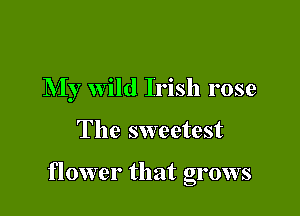 My wild Irish rose

The sweetest

flower that grows