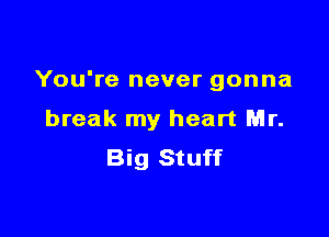 You're never gonna

break my heart Mr.
Big Stuff