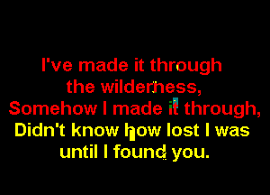 I've made it through
the wilderness,
Somehow I made in through,
Didn't know Inow lost I was
until I found you.