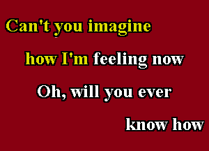 Can't you imagine

how I'm feeling now
Oh, Will you ever

know how